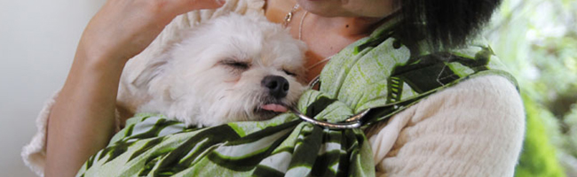 ドッグスリング