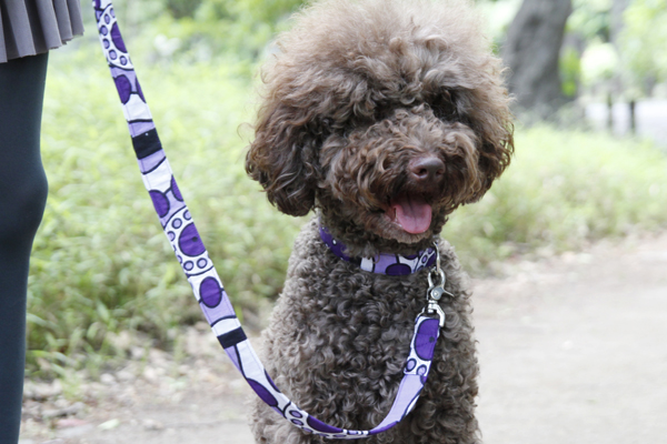 カンガの犬用リード｜ソーイング リード