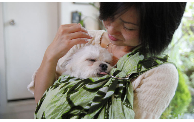 犬 スリング